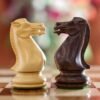 chess pieces only, chess, chess piece