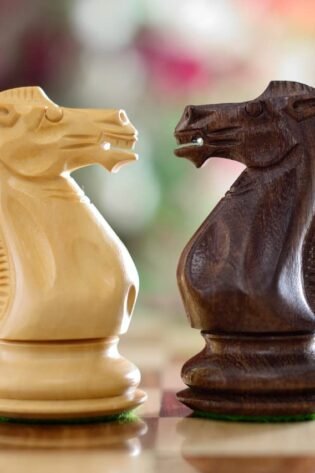 chess pieces only, chess, chess piece